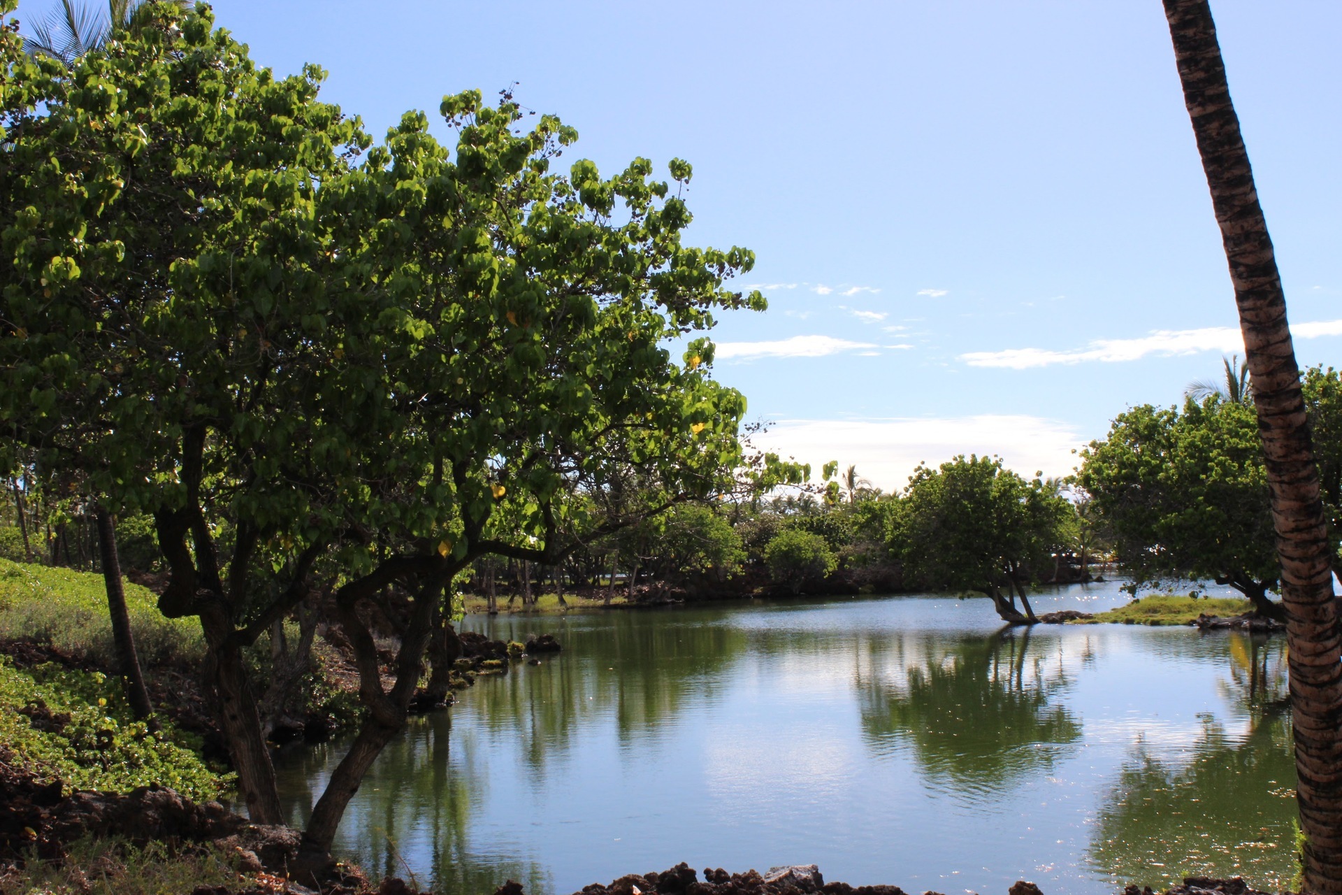 ハワイ島マウナ ラニのフィッシュポンドは癒やしの池 旅して暮らしたい No Travel No Life